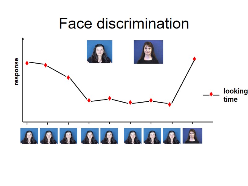 Face discrimination looking time response